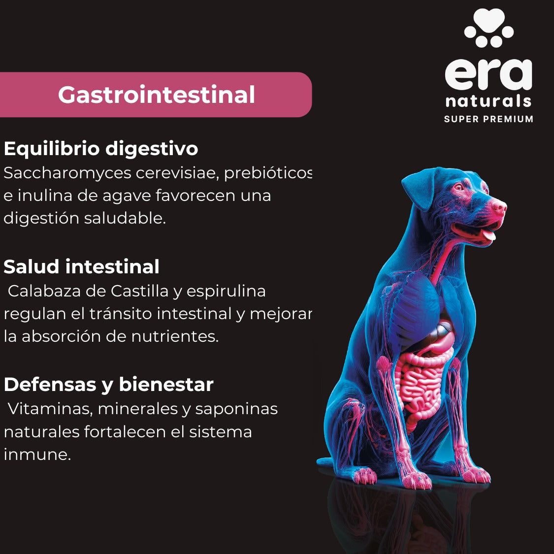 Suplemento para Perros Era Naturals Gastrointestinal - Gastrointestinal Support 300 Gr Suplemento para Perros Era Naturals Gastrointestinal - Gastrointestinal Support 300 Gr